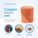 big-cheese-mouse-trap