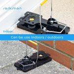 how-to-get-rid-of-rats