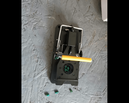 Screenshot 2022-01-22 at 15.47.16-min